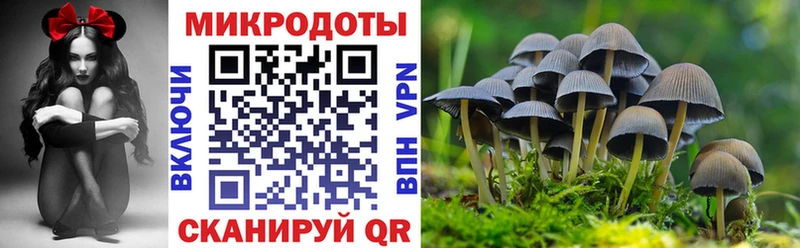 купить сайты даркнет Telegram Галлюциногенные грибы MAGIC MUSHROOMS Малмыж мега как зайти